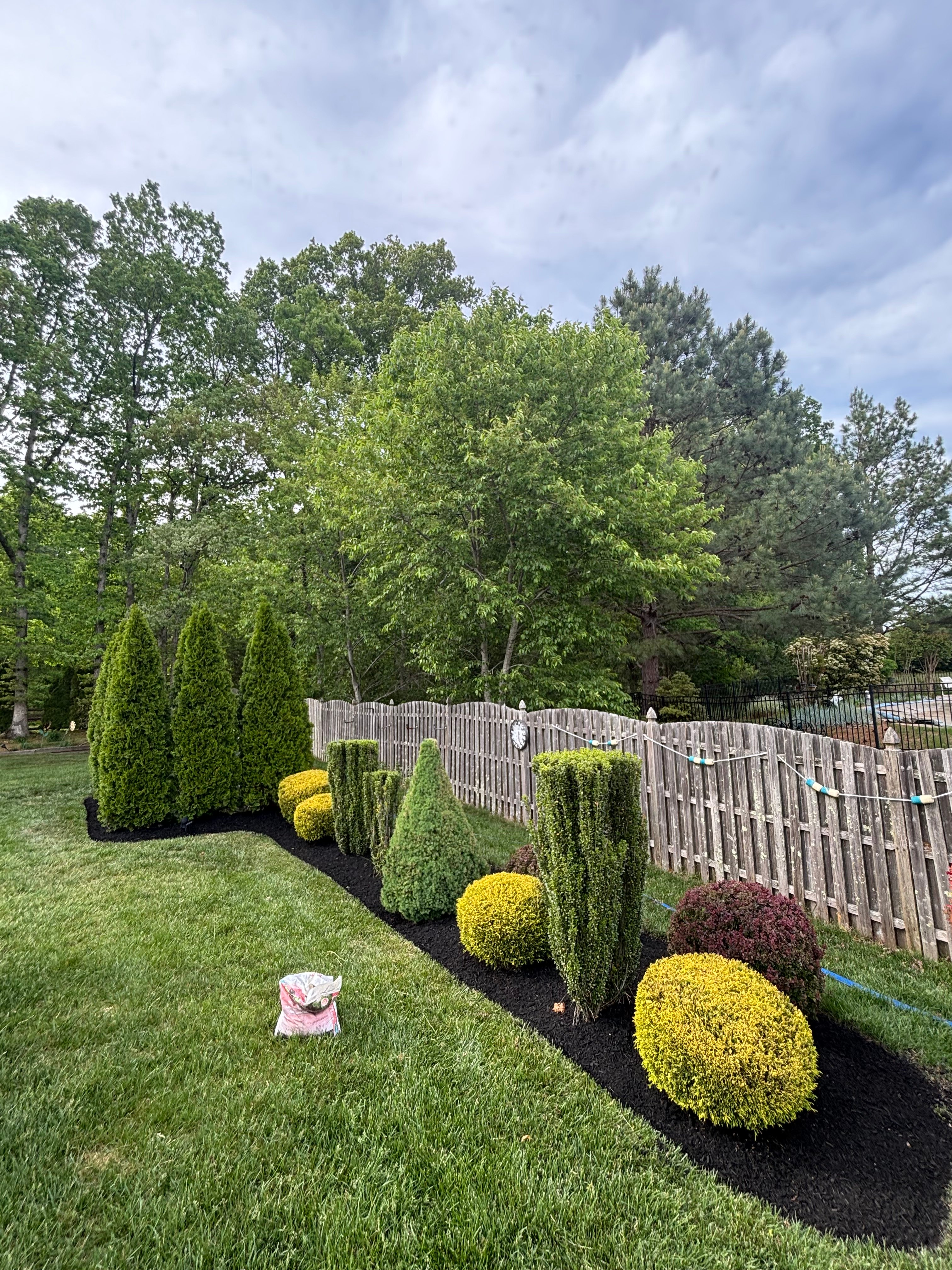Backyard Hedge & Mulch