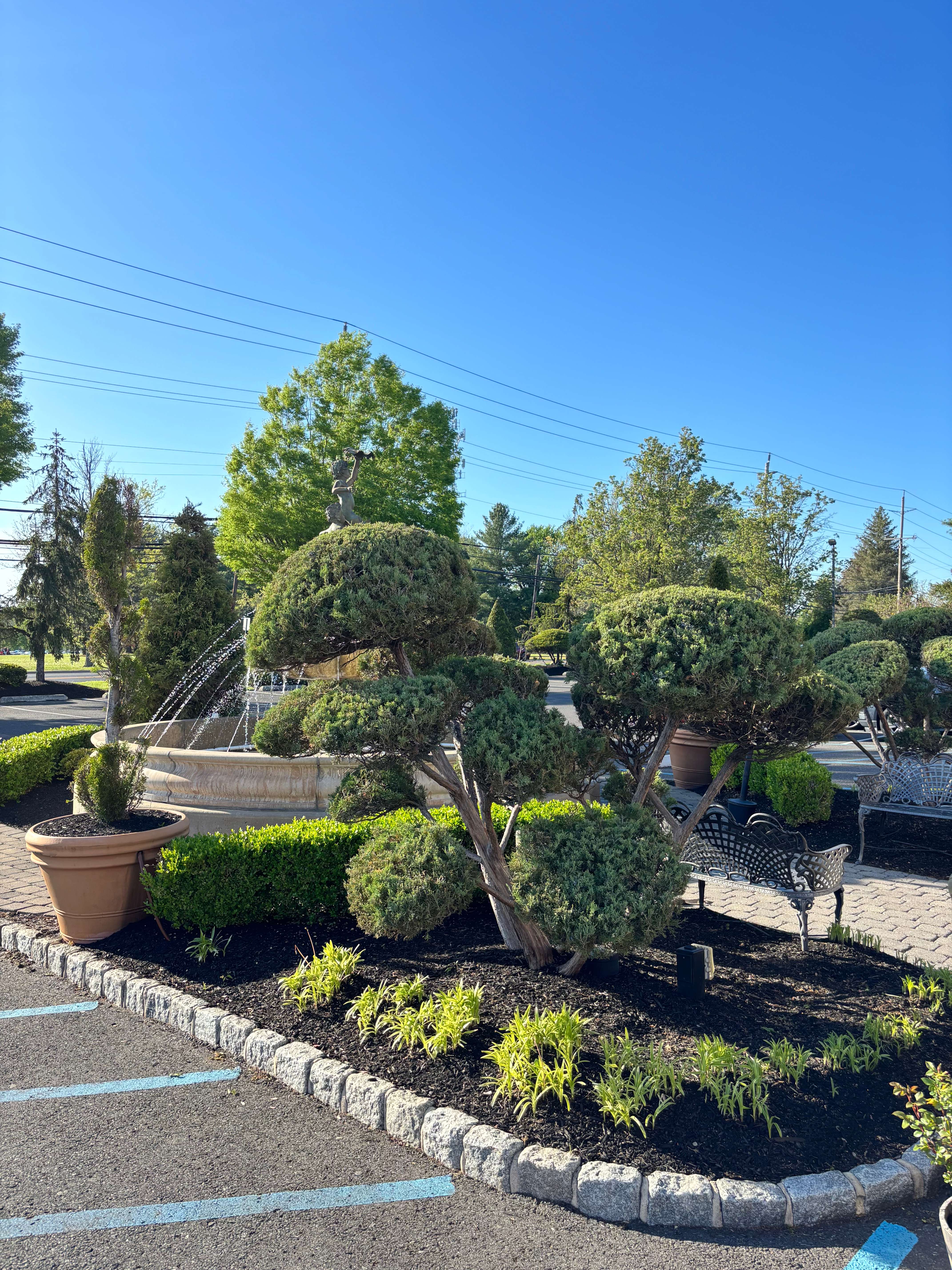 Garden Center Display